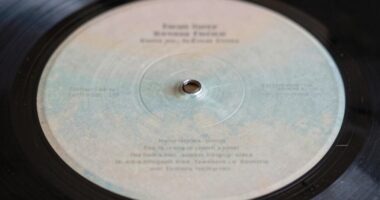 detecting fake vinyls