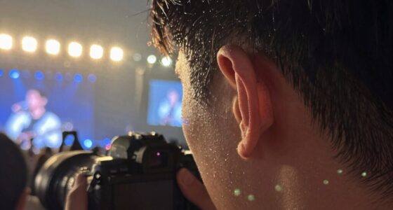 ear ringing after concerts