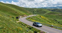 efficient show run planning