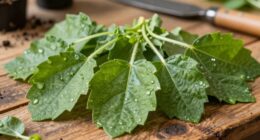 importance of manufacturing location