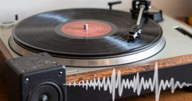 inferior speakers degrade vinyl sound