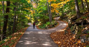 navigate stages with quick strategy