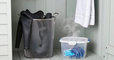 properly dry and ventilate gear