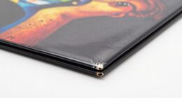 protect records from damage