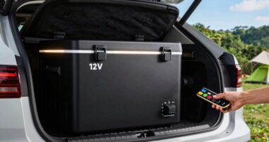 selecting suitable car cooler