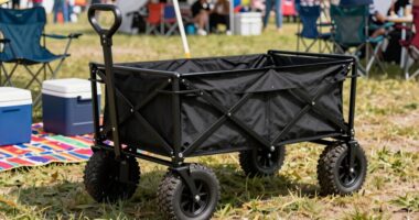 selecting suitable festival wagons