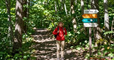 stay calm and reunite