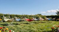 top 15 backyard hammock stands