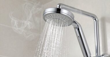 top filtered shower head picks