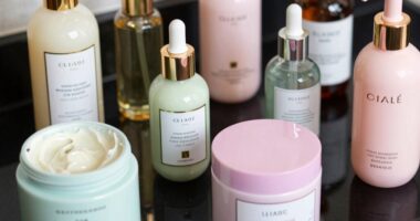 top hair repair products