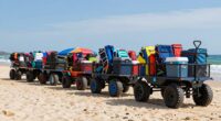 top heavy duty beach wagons