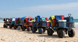 top heavy duty beach wagons