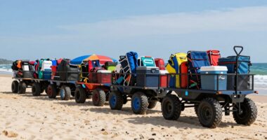 top heavy duty beach wagons