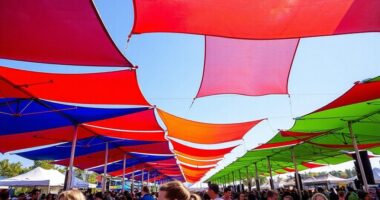 top heavy duty festival canopies