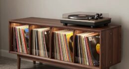 top vinyl record storage cabinets