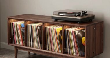 top vinyl record storage cabinets