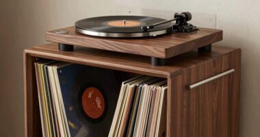 top vinyl storage stands