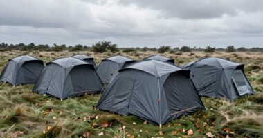 top wind resistant tunnel tents