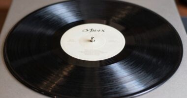 understanding record condition labels