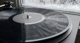 winter causes vinyl static