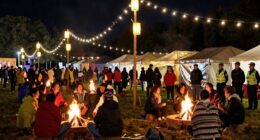 festival night safety tips