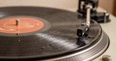 humidity affects vinyl longevity