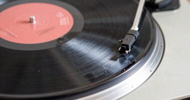 identifying vinyl issue causes