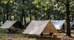 optimized campsite weather protection