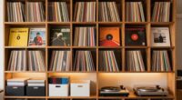 organized vinyl storage solutions