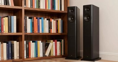 speaker size and placement