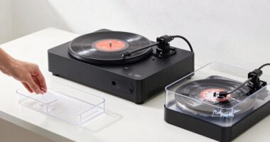 types of record cleaning
