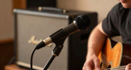 10 Best Ribbon Mic for Guitar Cabinets in 2026