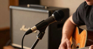 10 Best Ribbon Mic for Guitar Cabinets in 2026