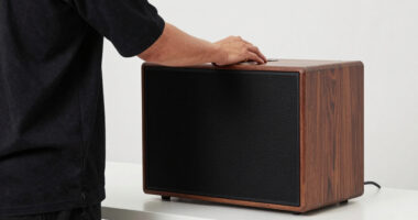 13 Best Best Premium 15-Inch PA Speaker in 2026