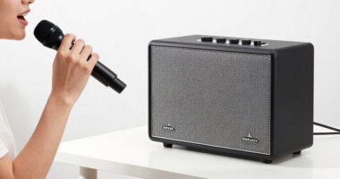 13 Best Karaoke Speaker System With Wireless Mics in 2026