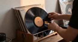 14 Best Best Premium Record Drying Rack in 2026