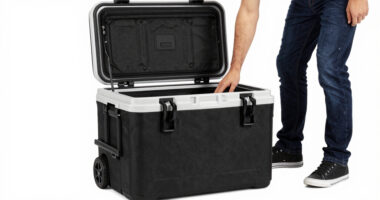 6 Best Insulated Tailgate Cooler With Wheels in 2026