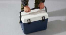 8 Best Compressor Cooler for Camping in 2026