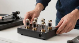 8 Best Tube Phono Stage for Vinyl Playback in 2026
