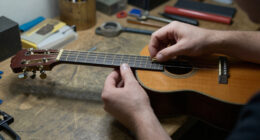 The Birth Of The American 12-String Guitar (2013)