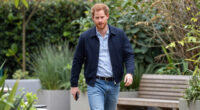Prince Harry News