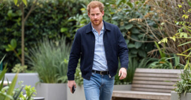 Prince Harry News